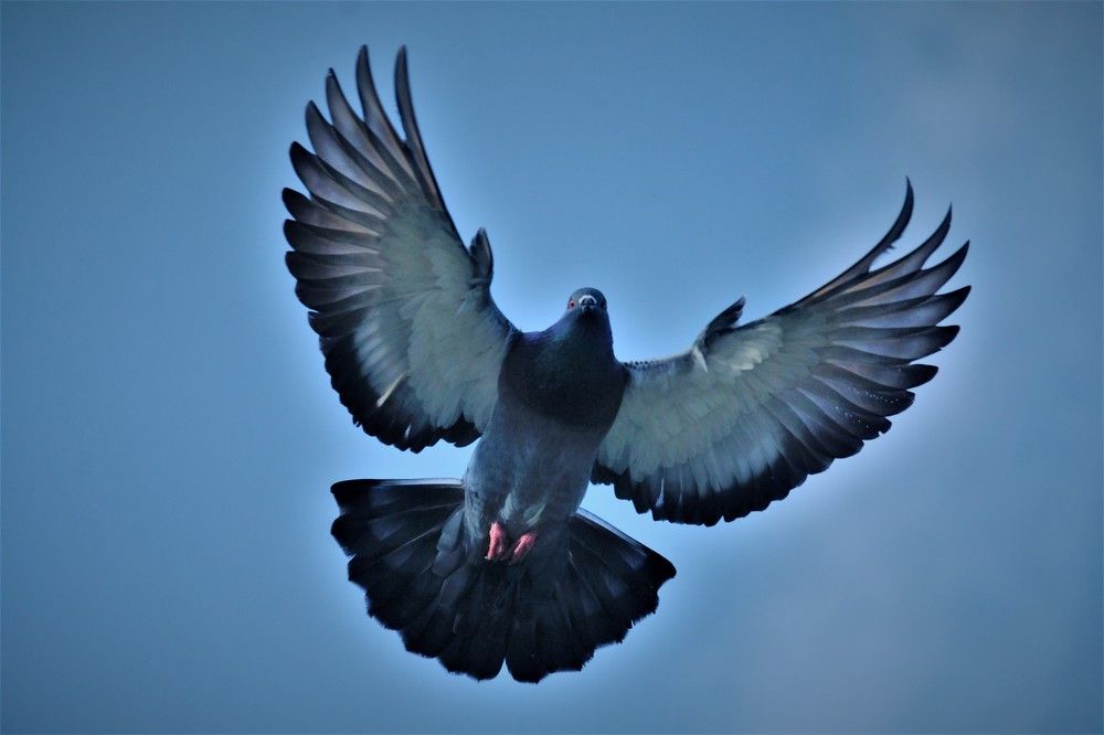 Photograph by Effie Zacharia