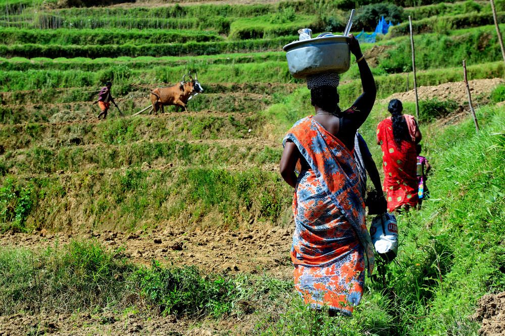 Photograph by Antphine Greemon