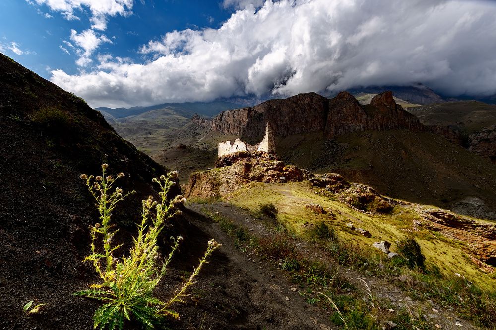 Photograph by Даниял Афашоков