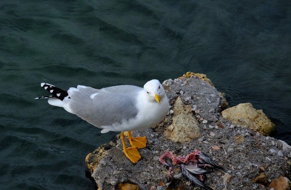 Photograph by Effie Zacharia