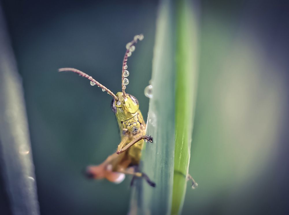 Photograph by Александр Гвоздь