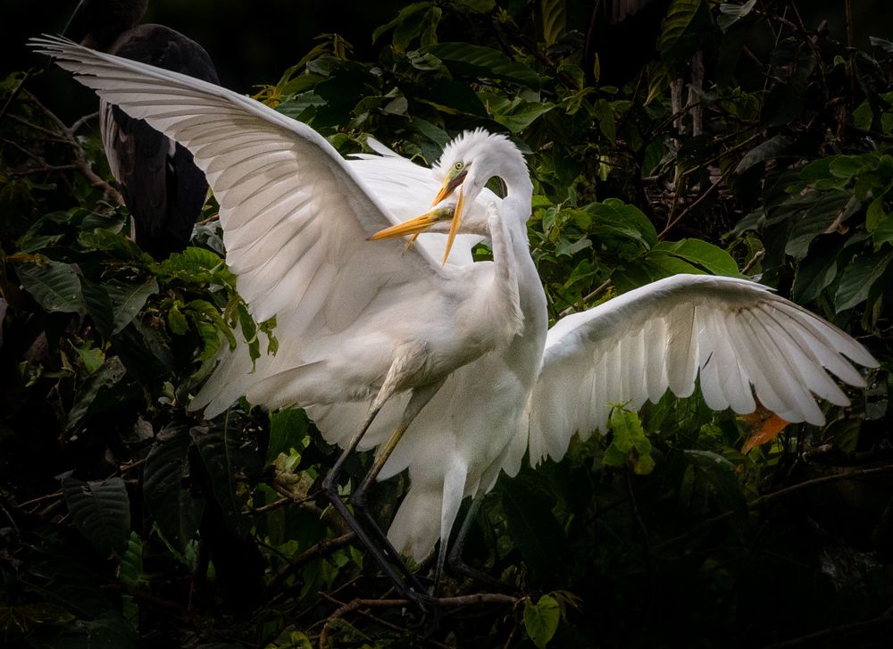 Photograph by Dipanjan Pal