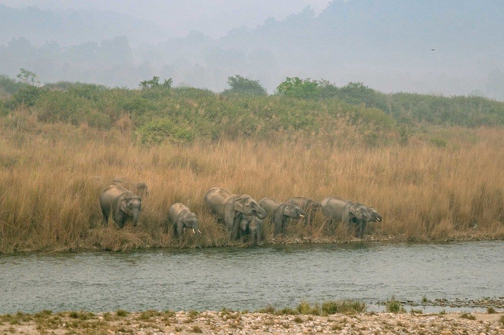 Photograph by Dipanjan Pal