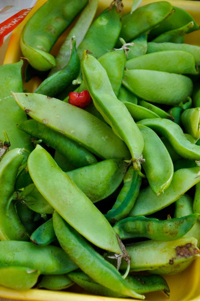 Photograph by Лариса Натальская