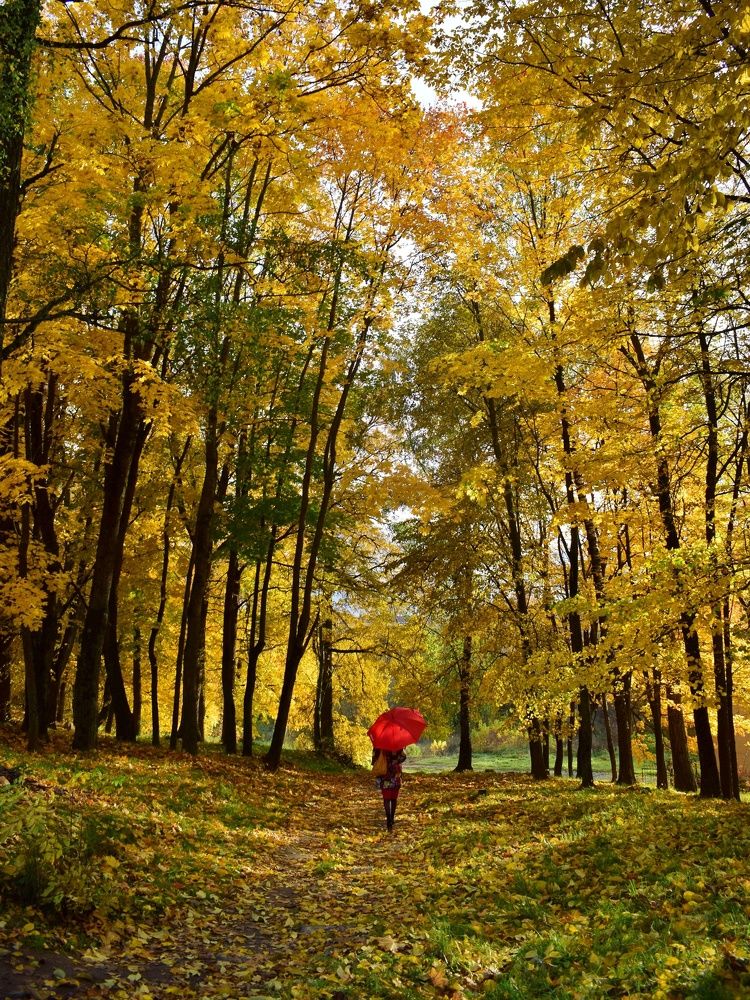 Photograph by Алеся Цеван