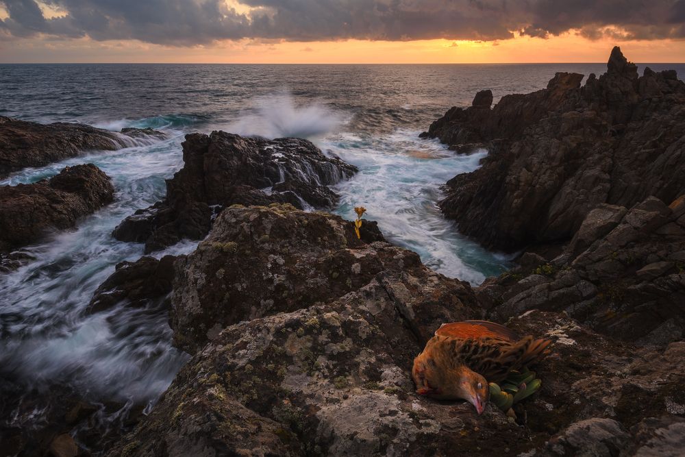 Скитания Българией. Сон
