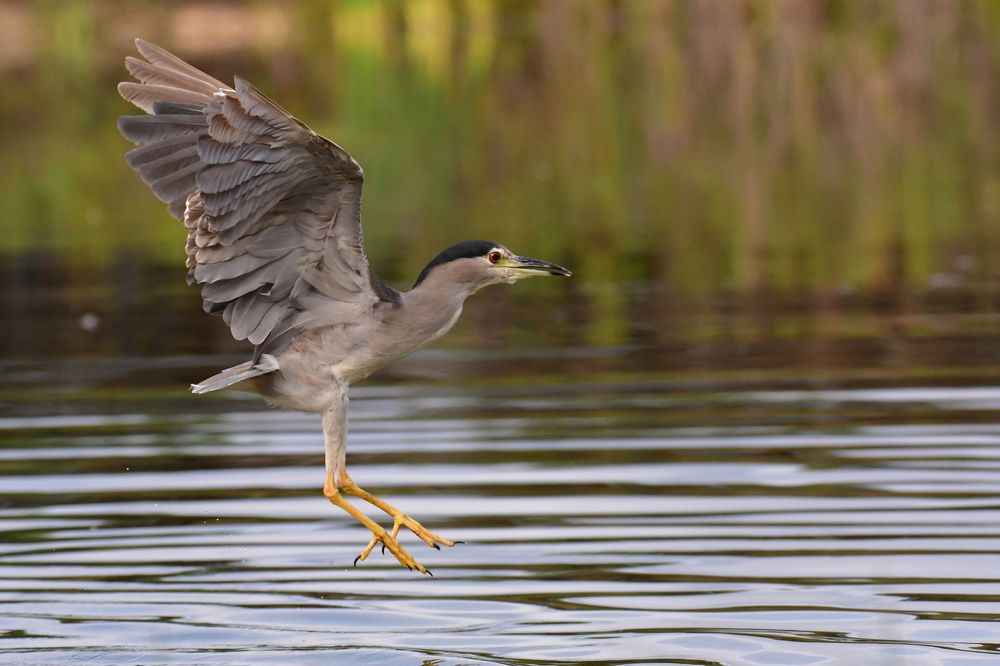 Photograph by Dagmara Giller