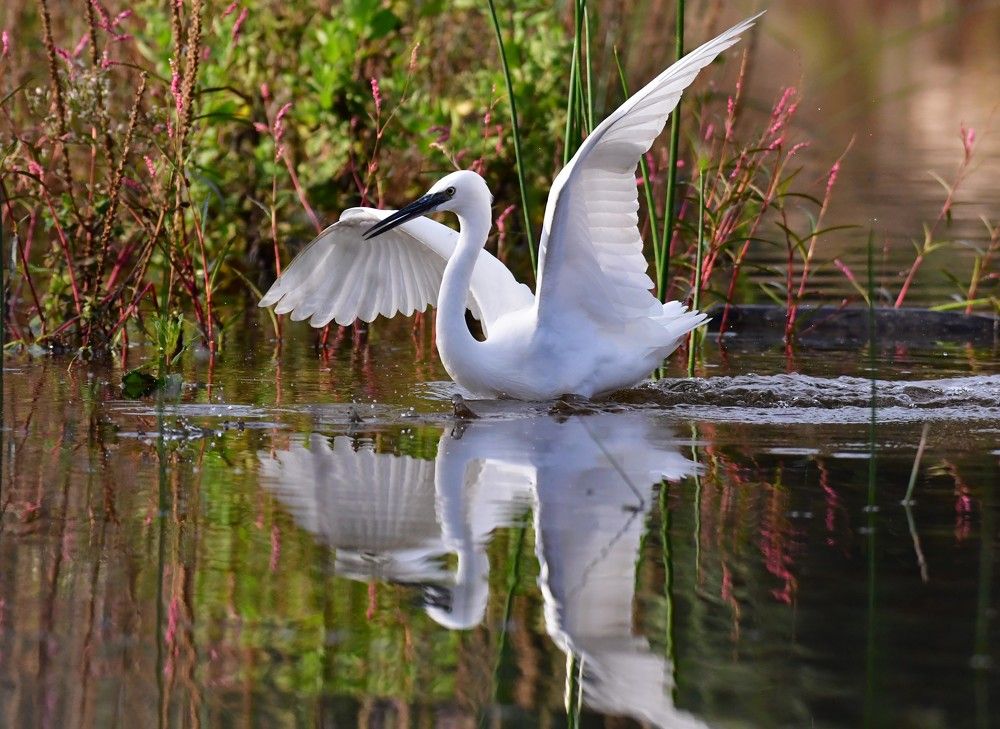 Photograph by Dagmara Giller