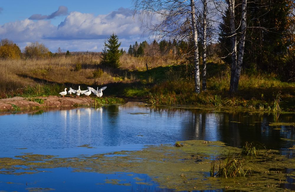 Photograph by Olga Kazakova