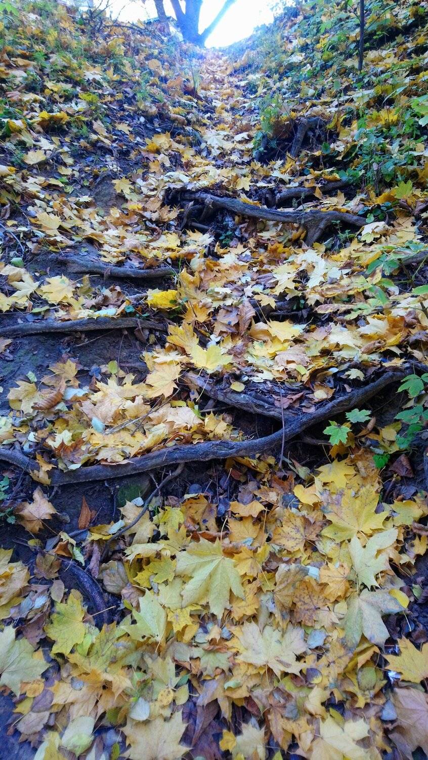 Photo #5800914