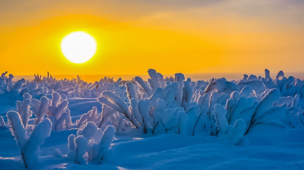 Морозное безмолвие