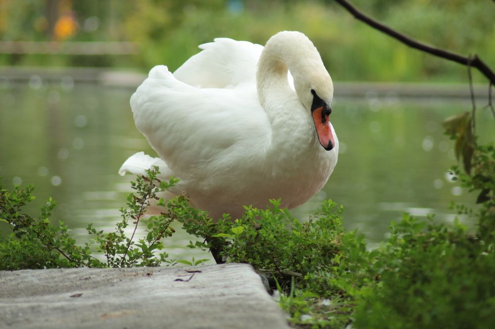 Фотография автора Аяужан Утеулинова