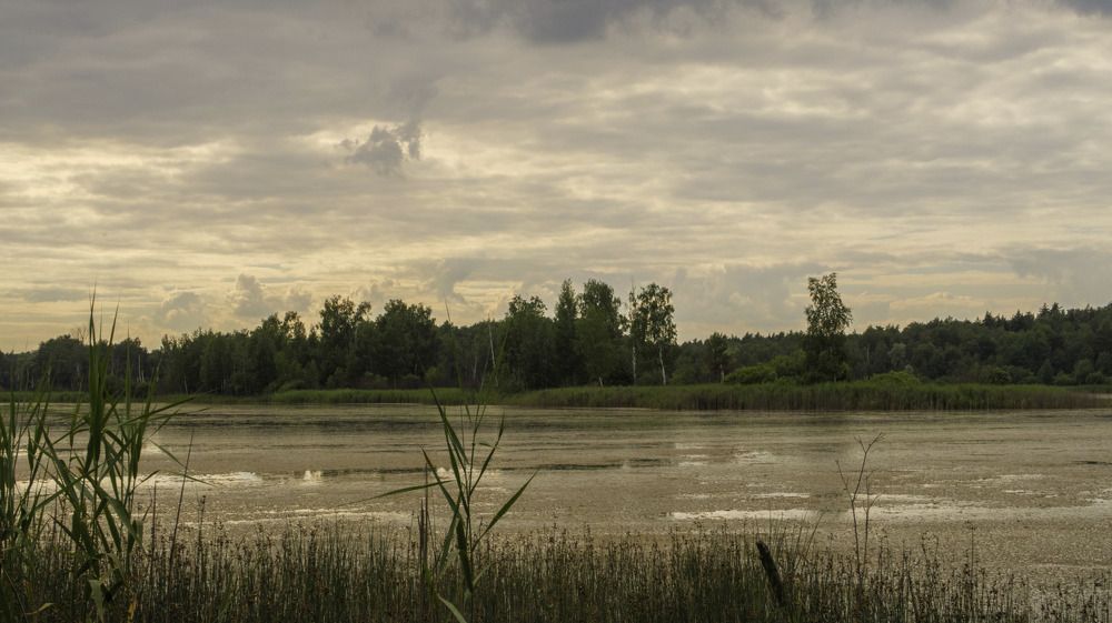 Фотография автора Александр Стоялов
