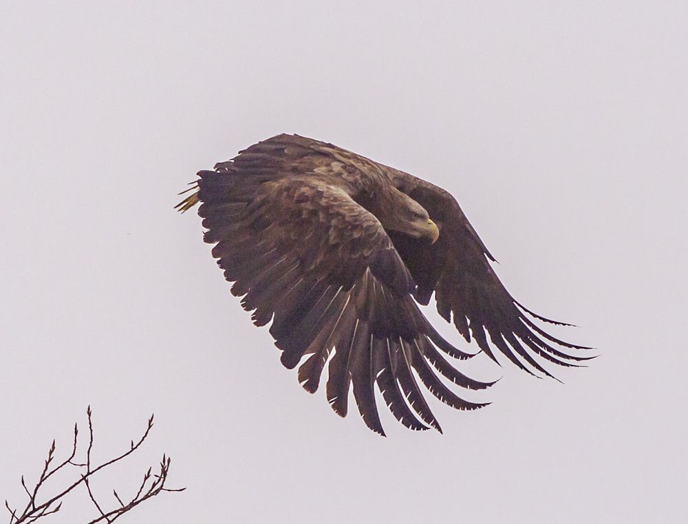 Photograph by Николай Никитин