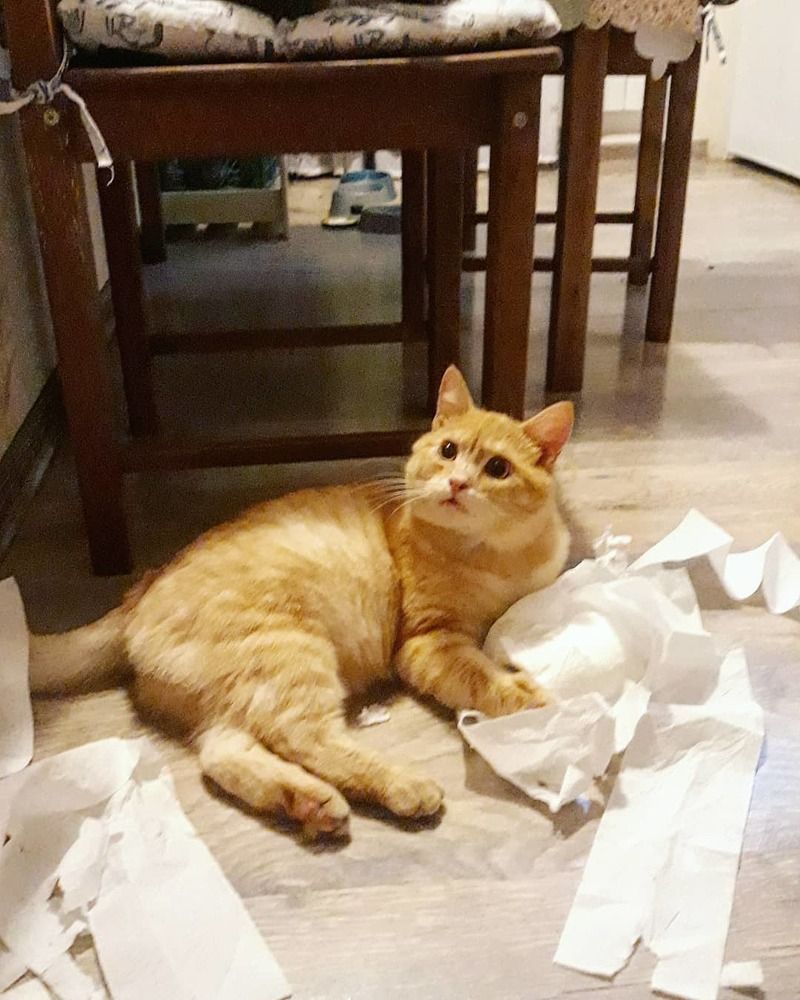 Photograph by Юлия Корнитенко