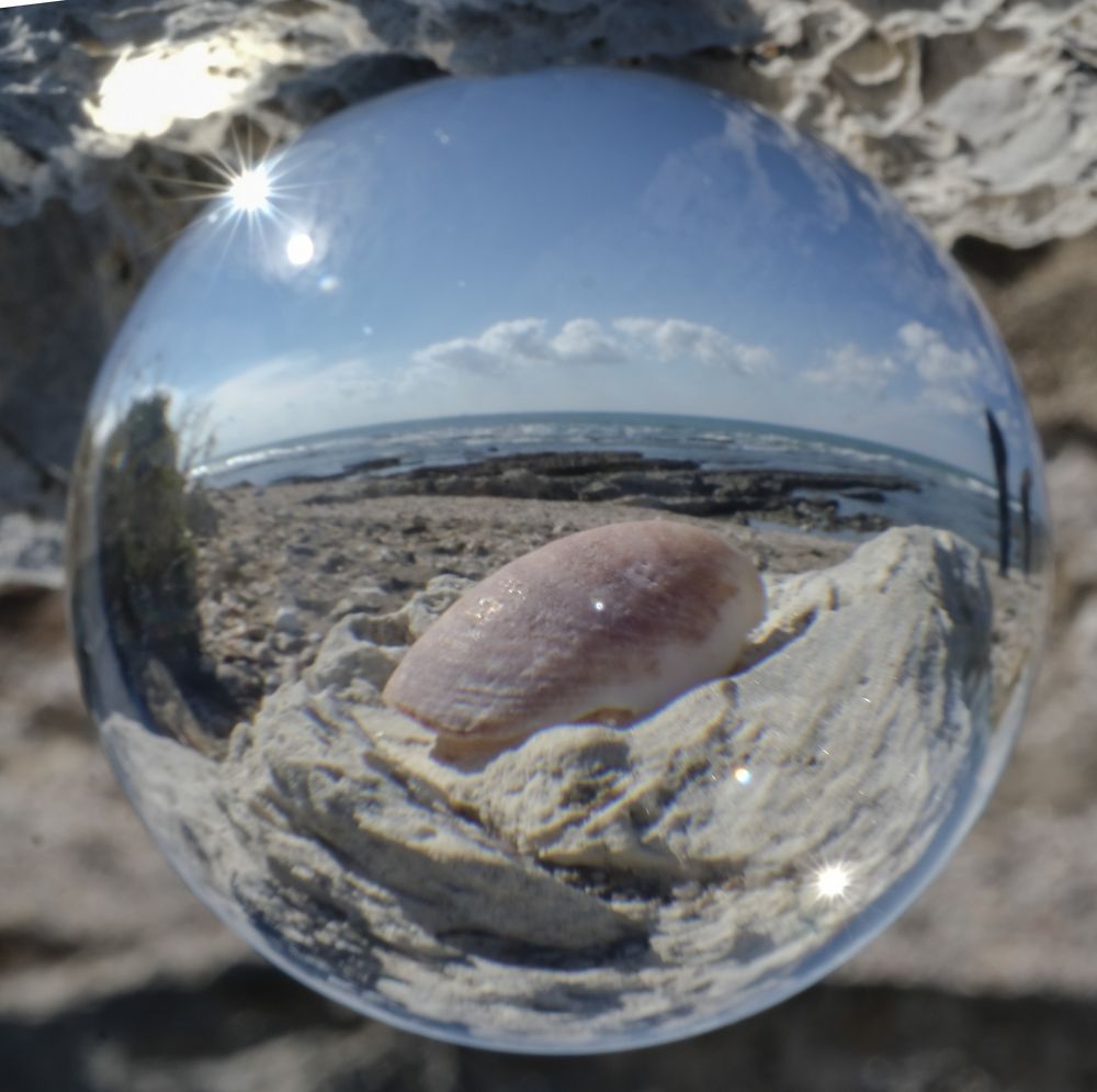 Photograph by klara Neikov