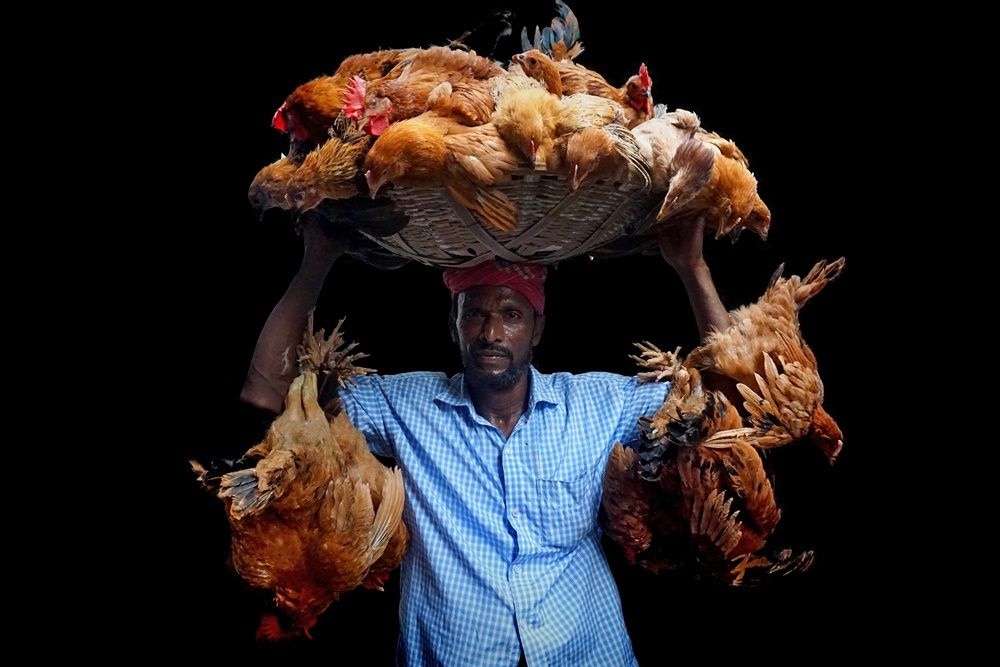 Photograph by  Harun-ar-rashid