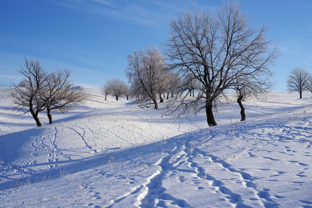 Photograph by Рашит Чумарин