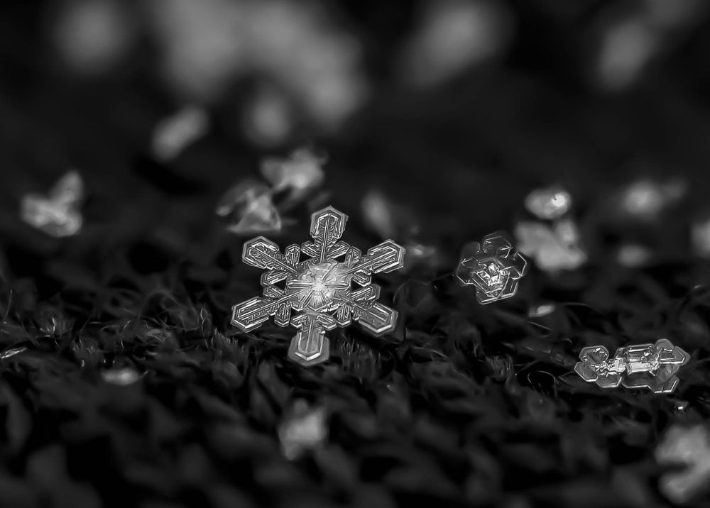 Photograph by Олеся zme