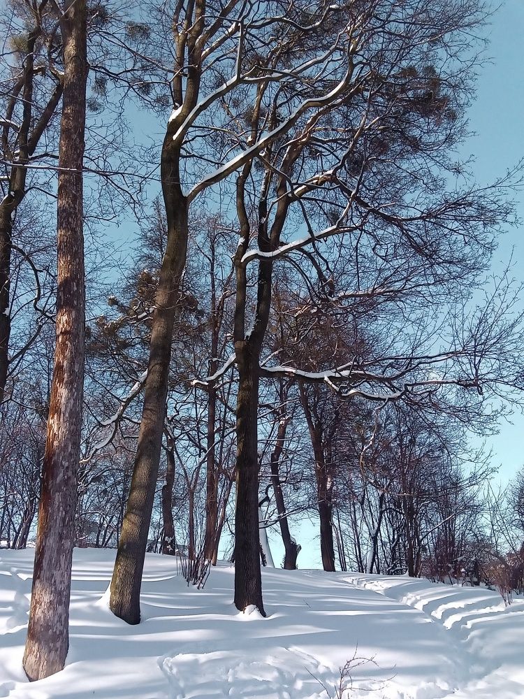 Photograph by Елена Шерман