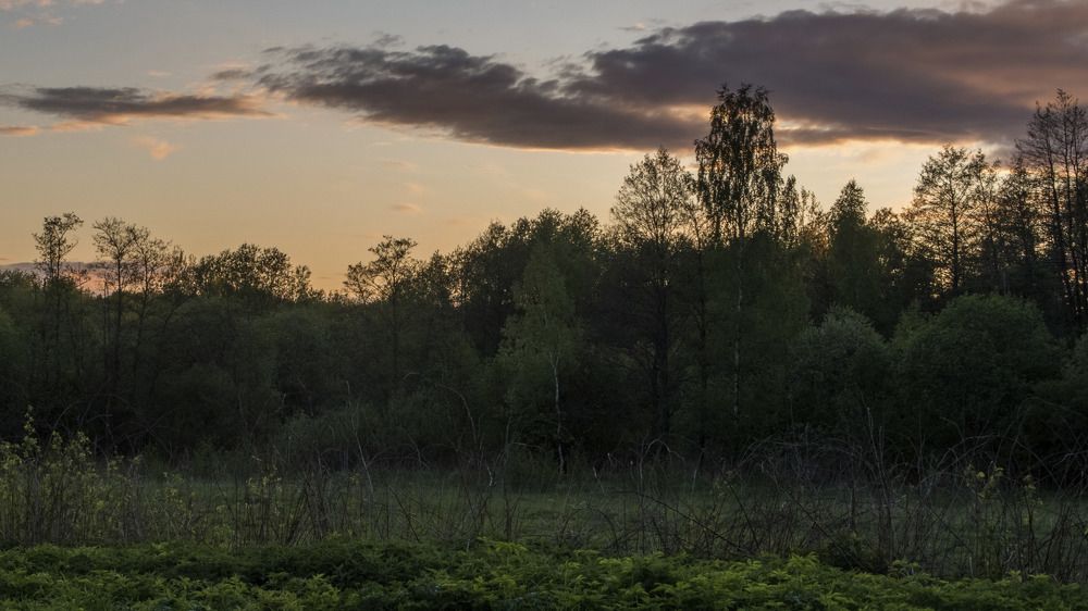 Фотография автора Александр Стоялов