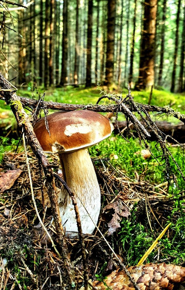 Photograph by Валерий Ташкин