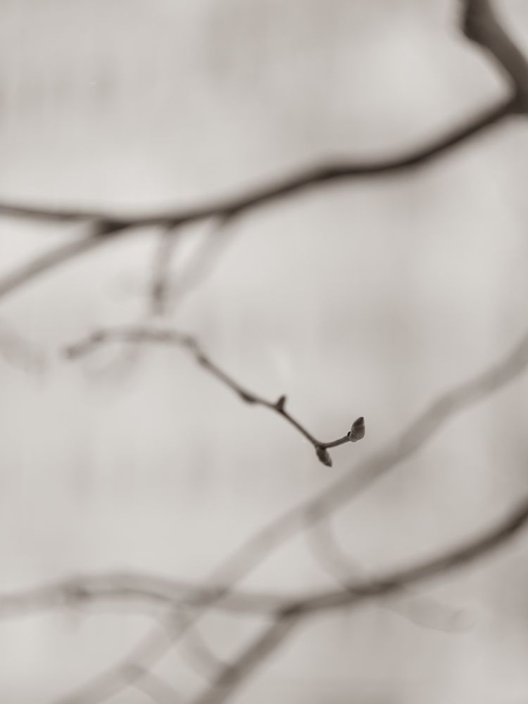 Photograph by Наталья Юрашку