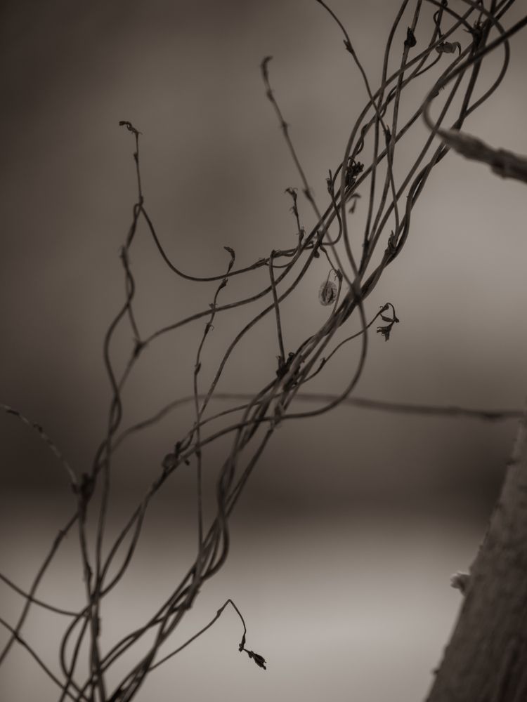 Photograph by Наталья Юрашку