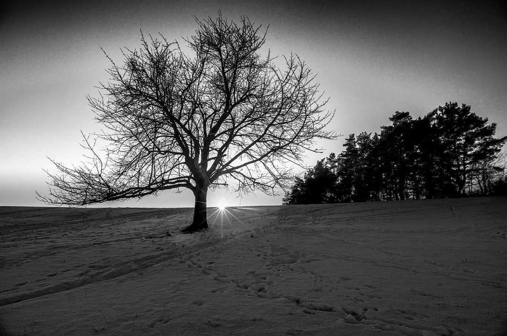 Photograph by Stanislav Laurincik