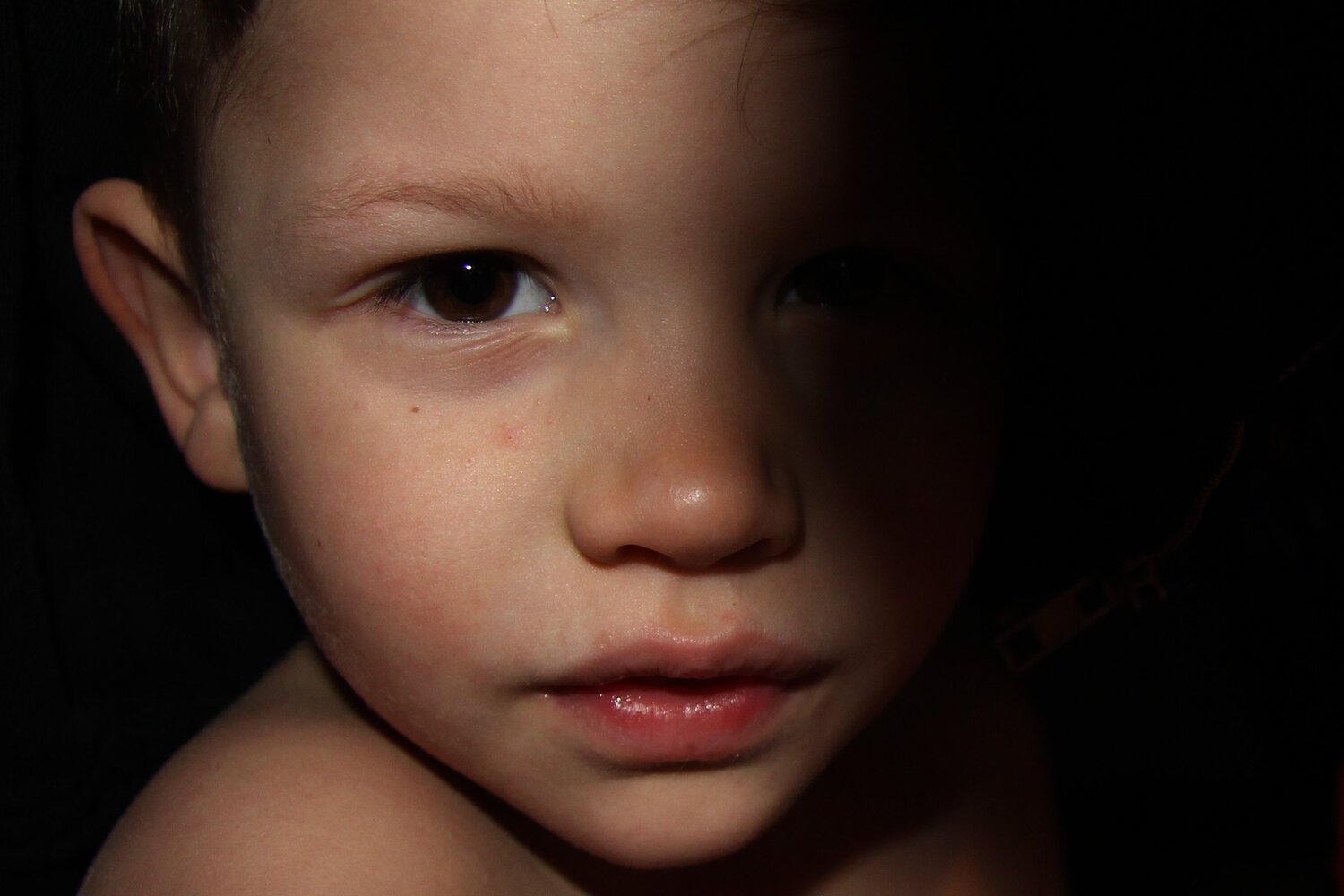 Photo #5801183