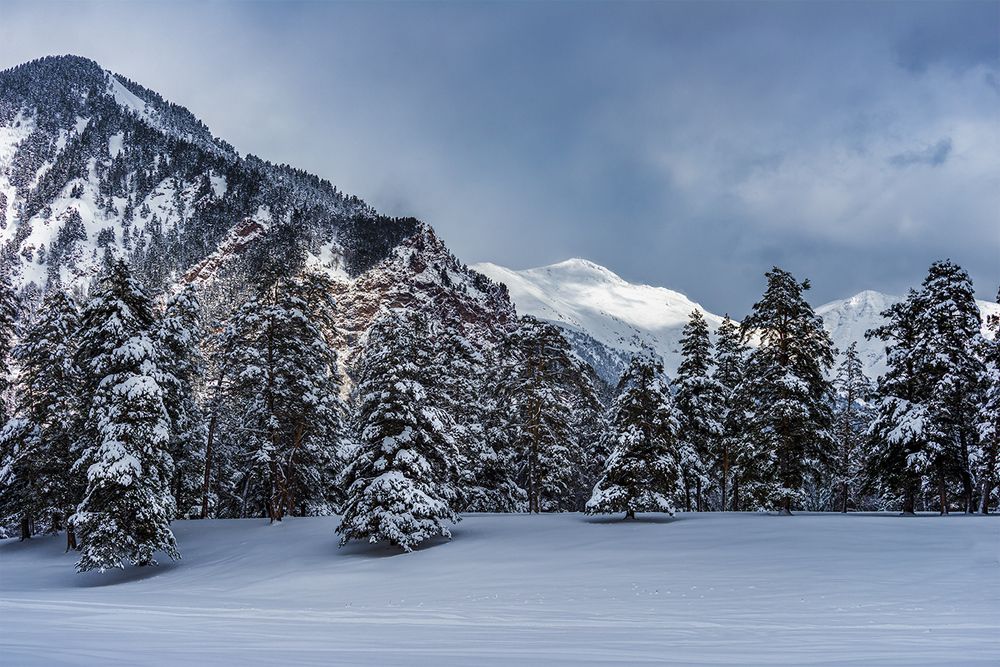 Photograph by Anatoly