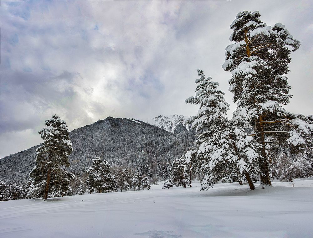 Photograph by Anatoly