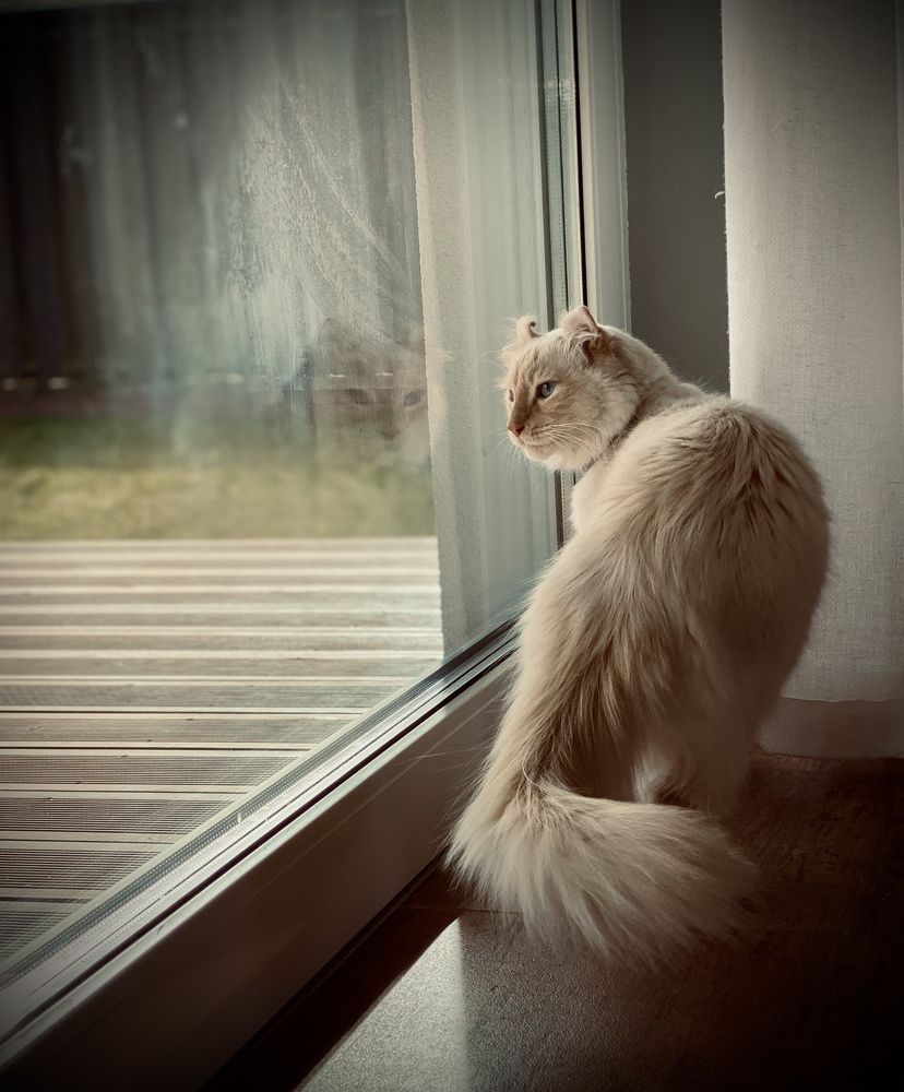 Photograph by Alena Audonina