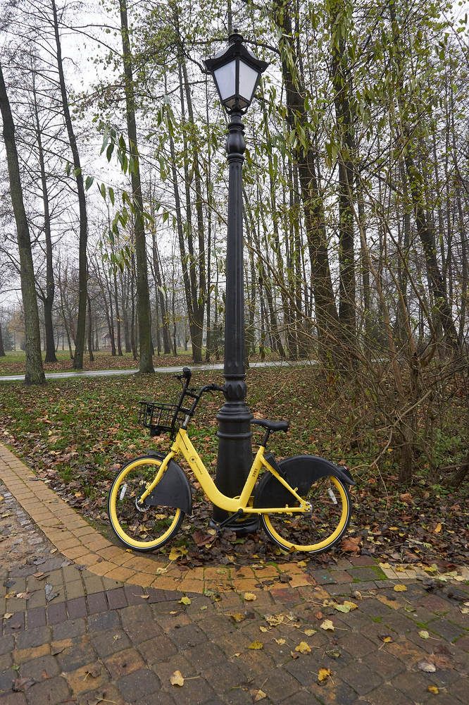 Photograph by Александр Ярмущик