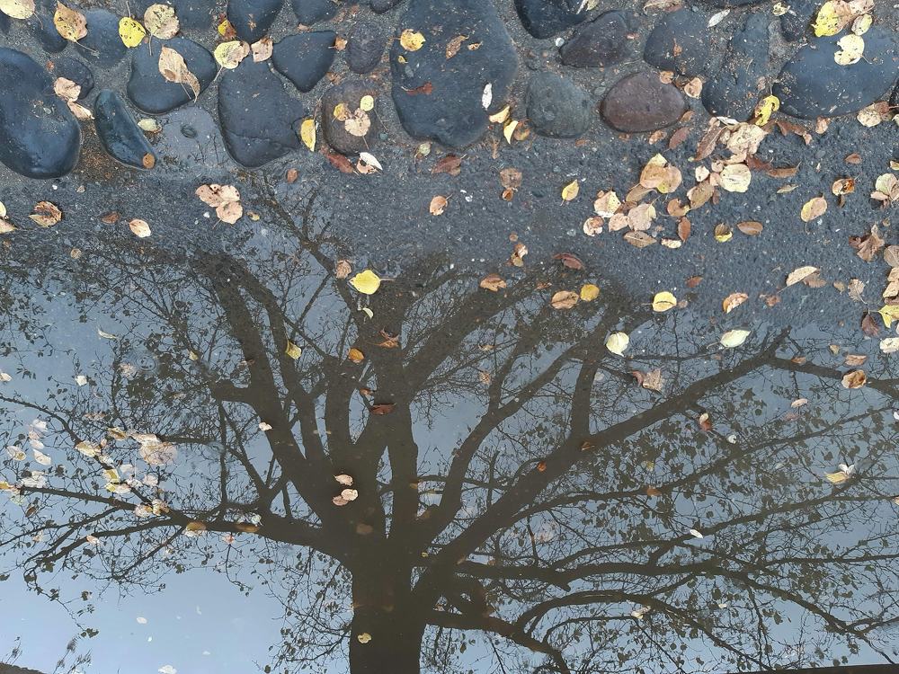 Photograph by Марина Рафаелян