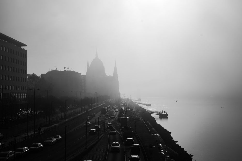 Фотография автора Полина Амелина