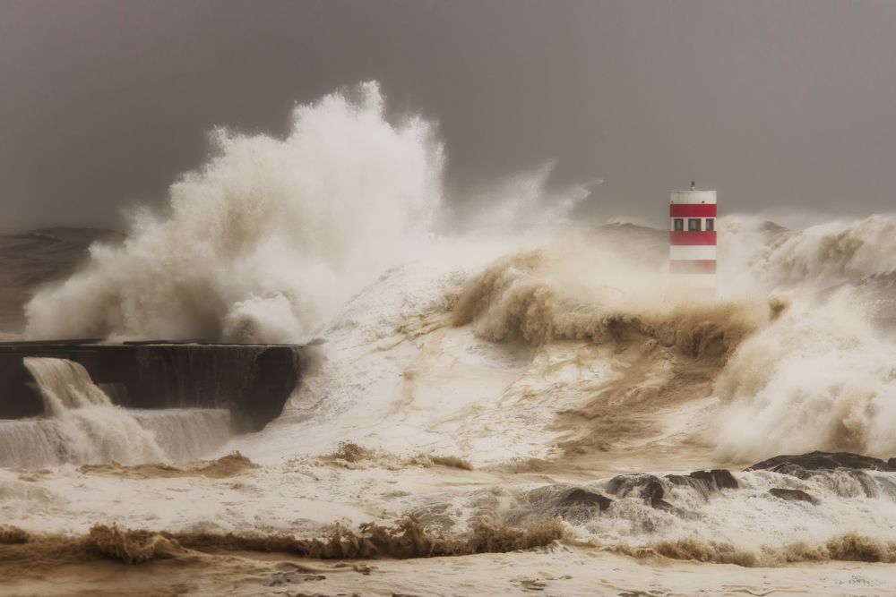 Photograph by Ricardo Leal