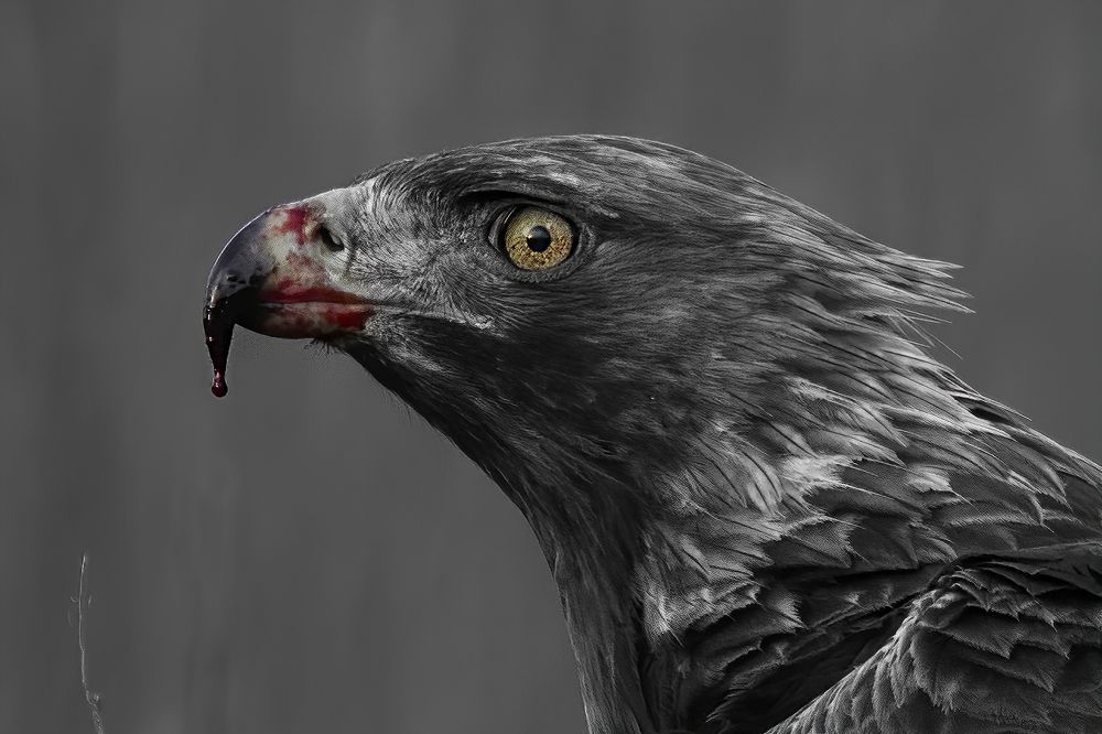 Photograph by Ernestas Balcikonis