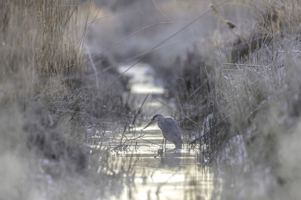 Photograph by Ernestas Balcikonis