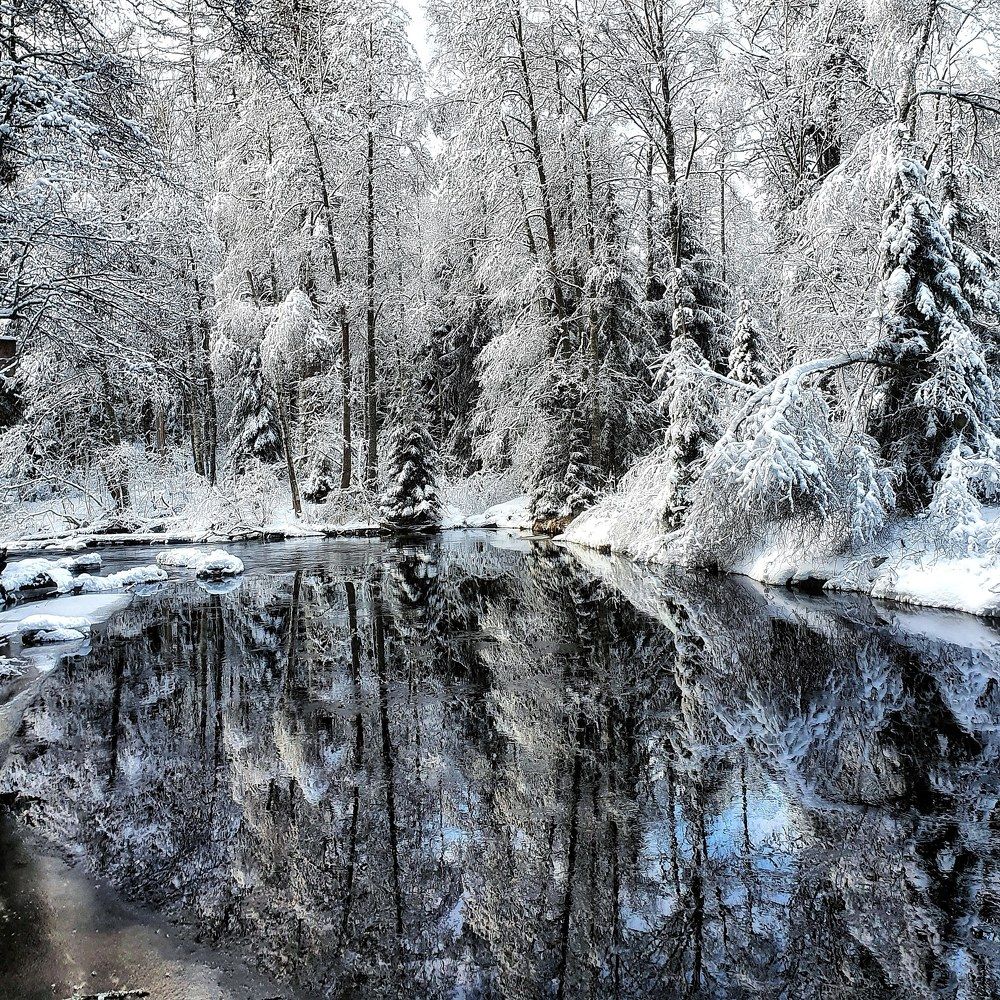 Photograph by Валерий Ташкин