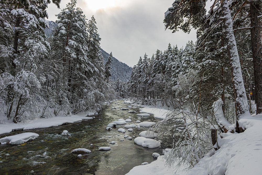 Photograph by Anatoly