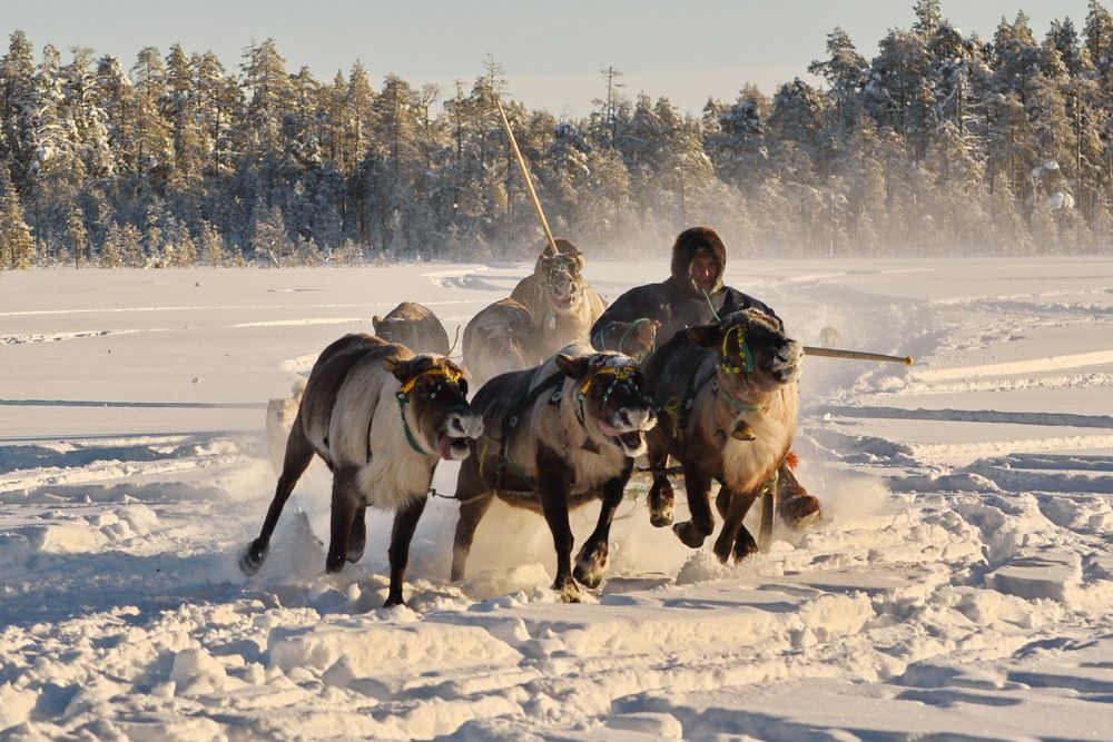 Мы поедем, мы помчимся...