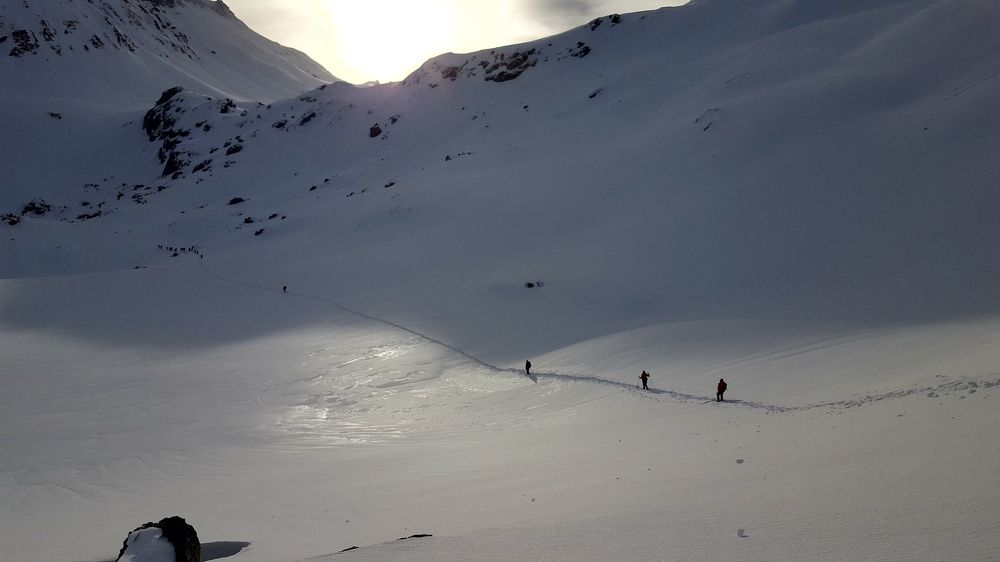 Photo #5801701