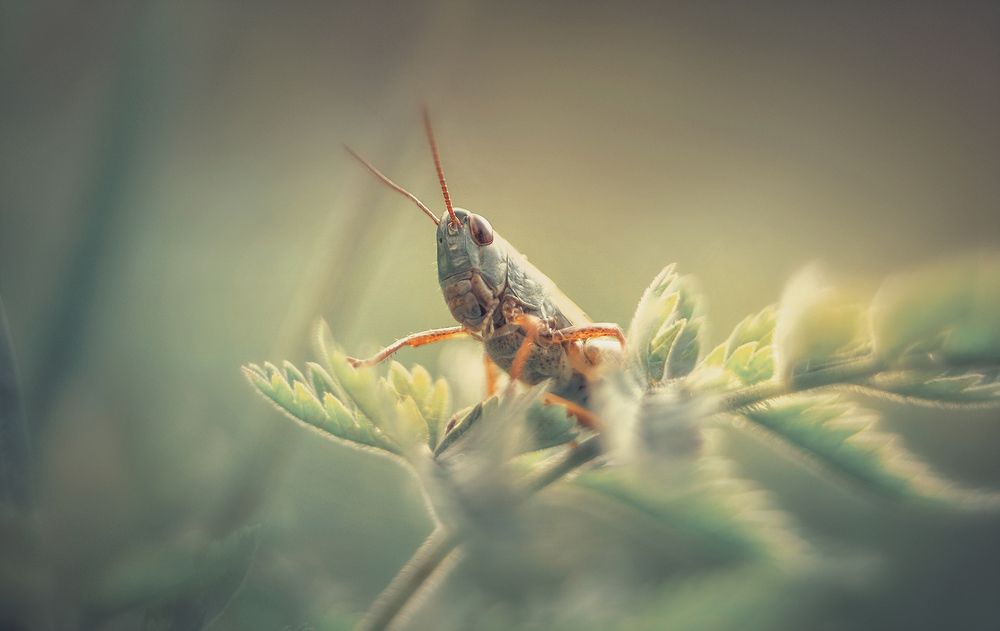 Photograph by Petya Lazarova