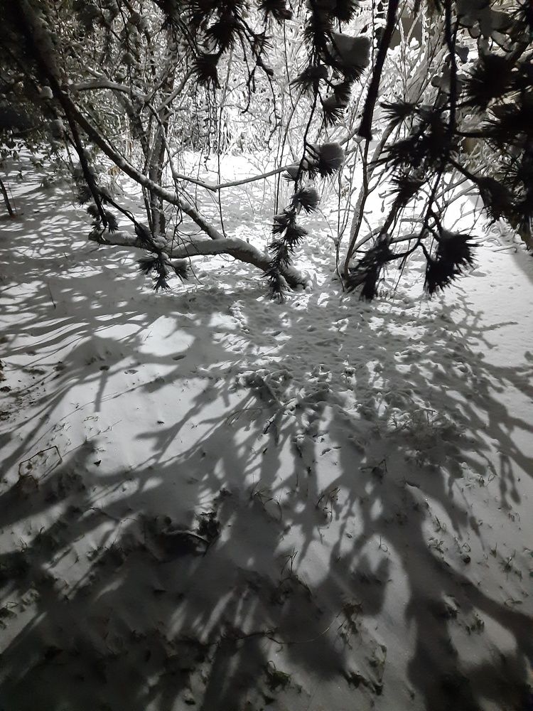 Photograph by Евгений