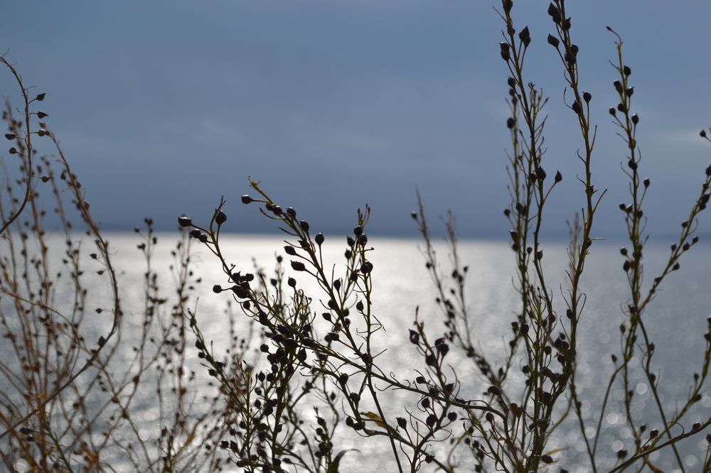 Photograph by Марина