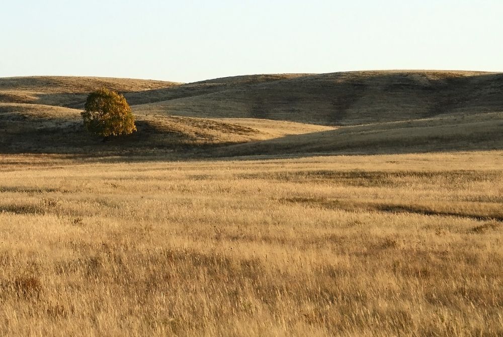 Осенний минимализм