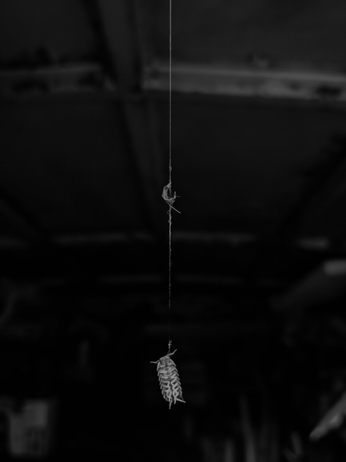 Photo #5801830