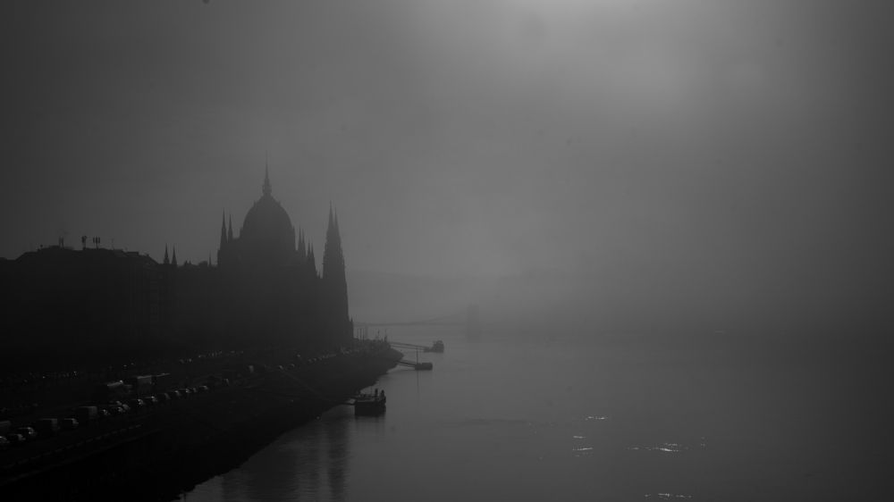 Фотография автора Полина Амелина