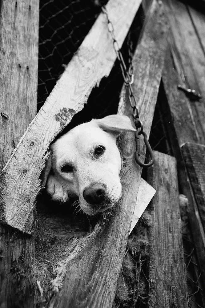 Photograph by Anastasia